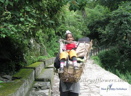 Minimum age to visit the Valley of Flowers