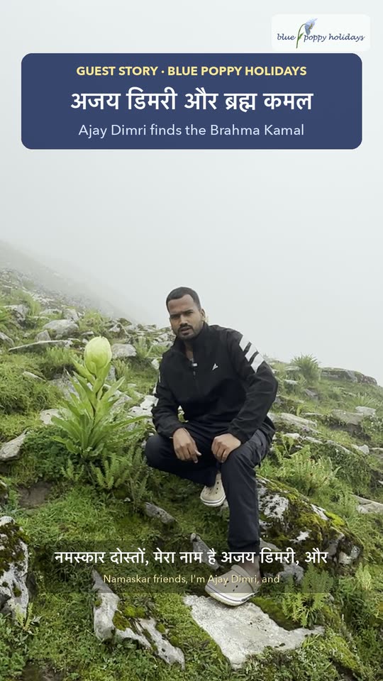 Ajay Dimri finds the Brahma Kamal
