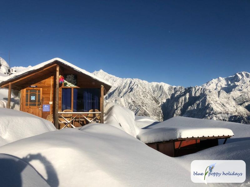 Blue Poppy Resort, Auli