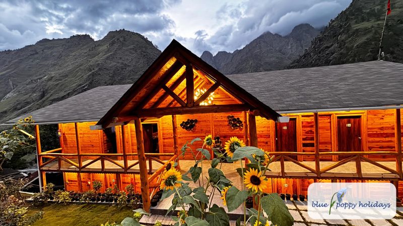 Blue Poppy Premier, Joshimath