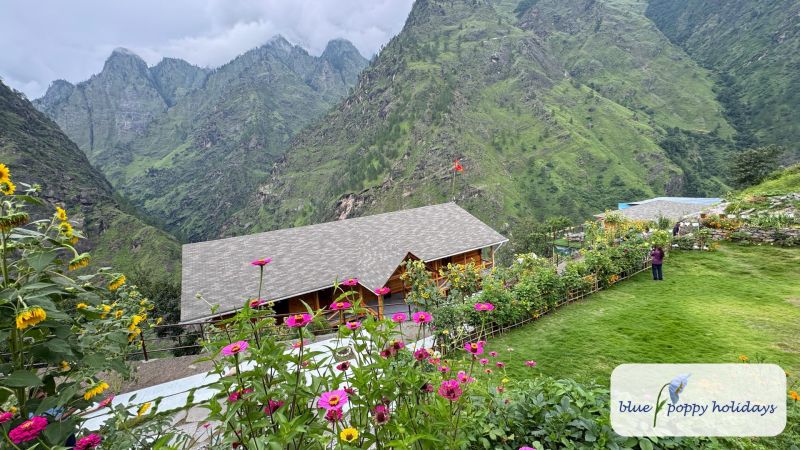 The garden and roof of Blue Poppy Premier below the mountains