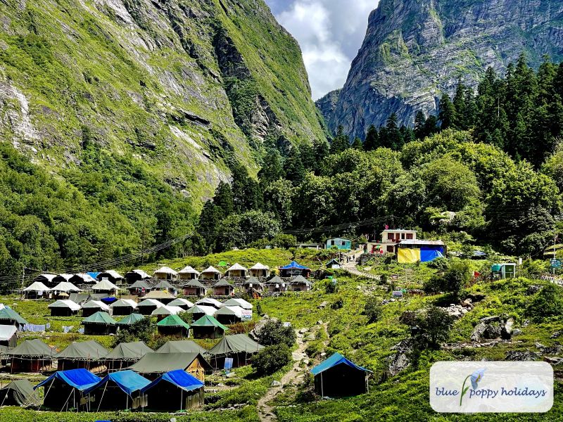 Cottages and tents at Ghangaria, the base for the Valley of Flowers