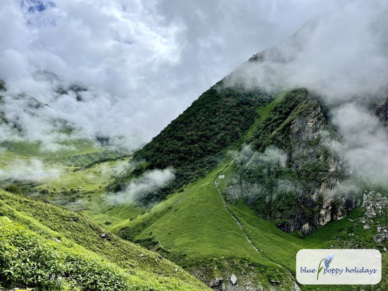 Monsoon mist on the peaks