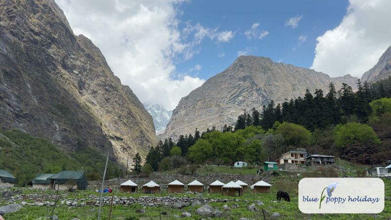 Swiss tents in the meadow at Ghangaria under the peaks (May 2025)