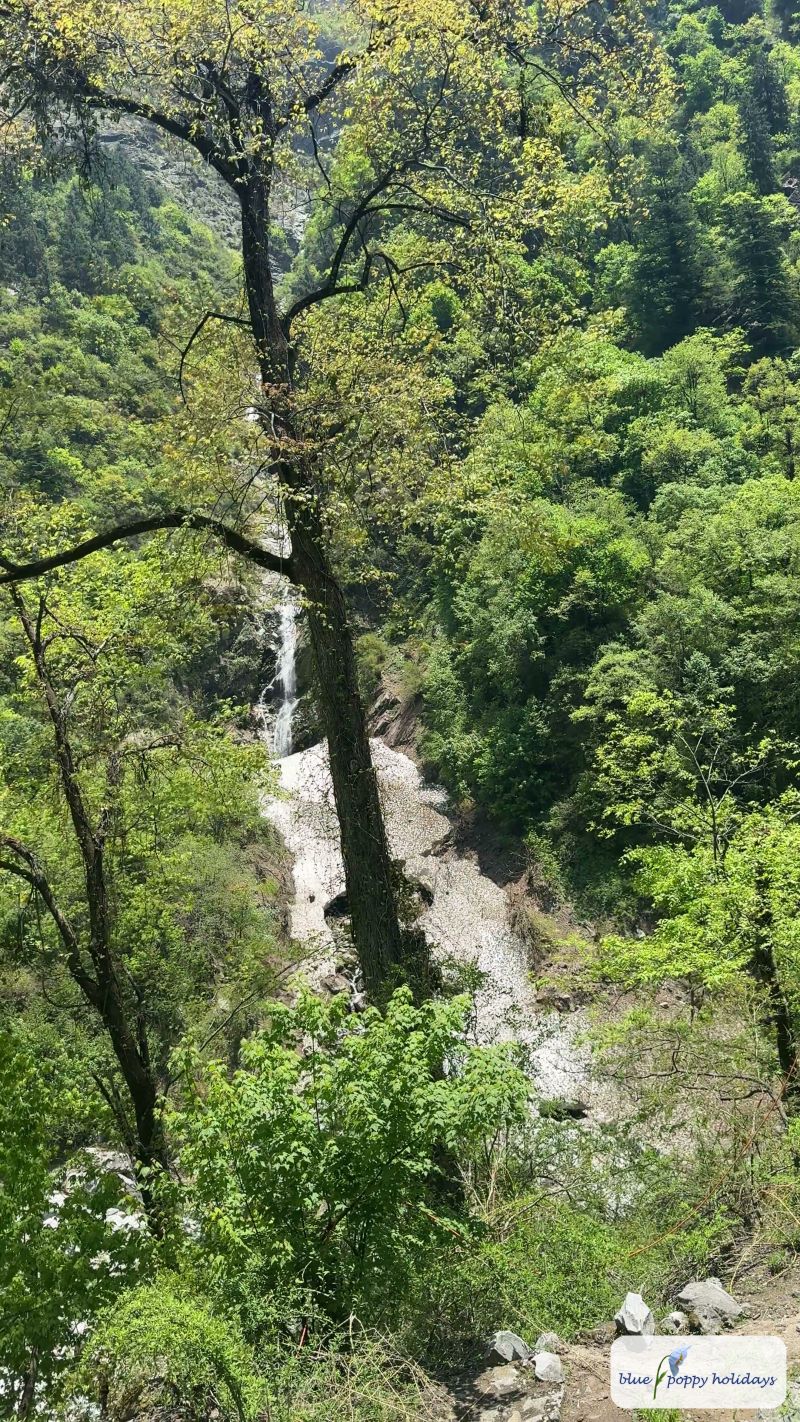 The 250-metre-high waterfall between Govindghat and Ghangaria, with winter snow still at its foot (May 2025)