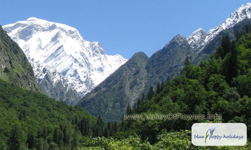 Hathi Peak seen from Bhyundar village