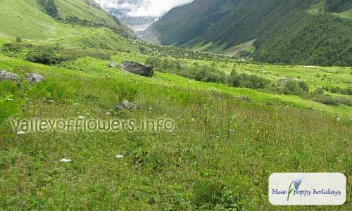 The Valley of Flowers is almost flat after its official starting point