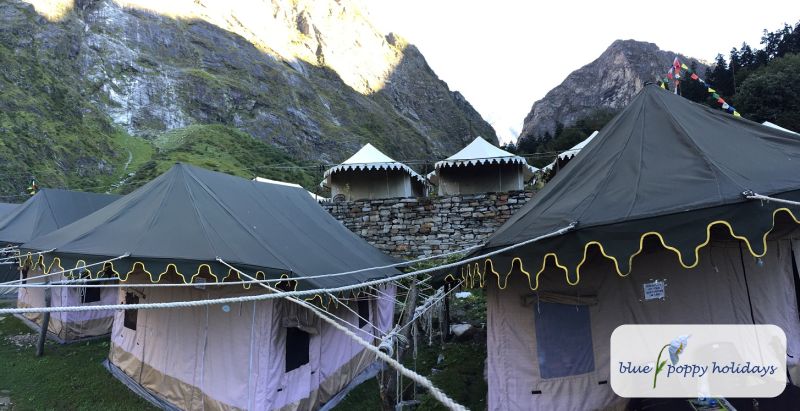 The Swiss cottages with the mountains behind them