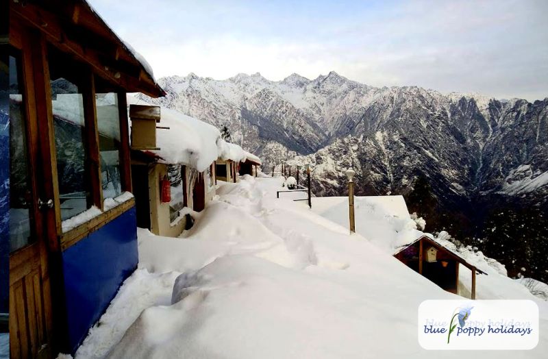 Blue Poppy Resorts at Auli in Winters