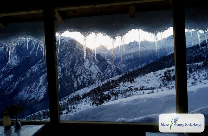 View from restaurant at Blue Poppy Resorts Auli