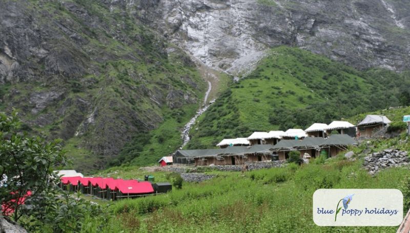 Camping in Ghangaria, Blue Poppy Swiss Cottage camps