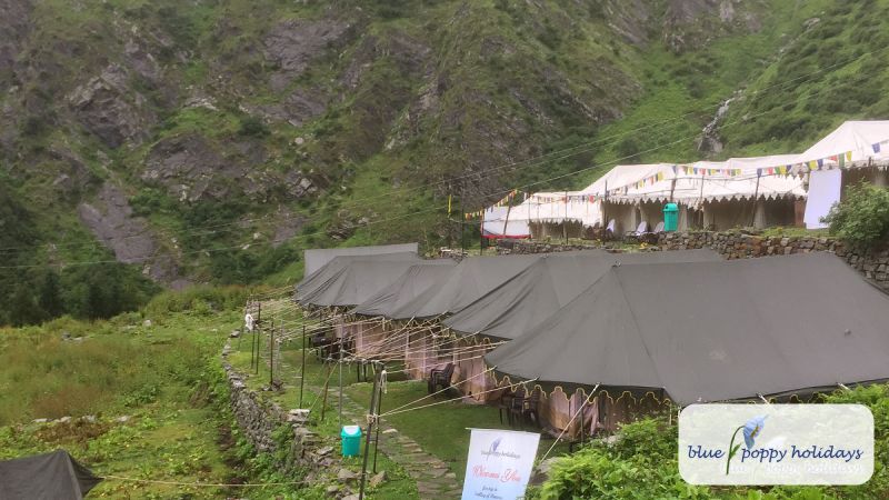 Camping in Ghangaria