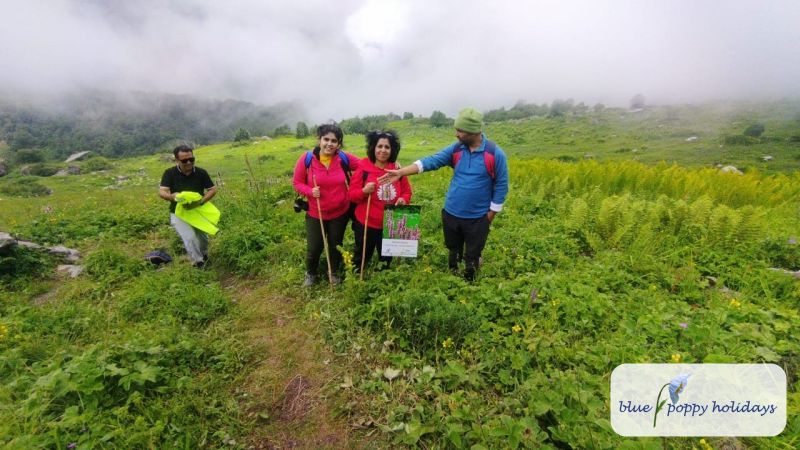 How is the weather in Valley of Flowers